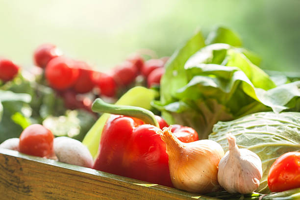 fresh organic vegetables stock photo
