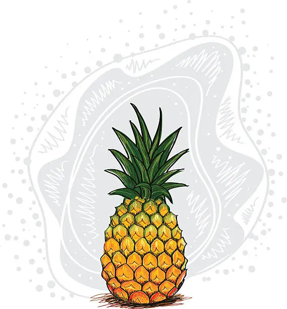 Vector illustration of Fresh Pineapple