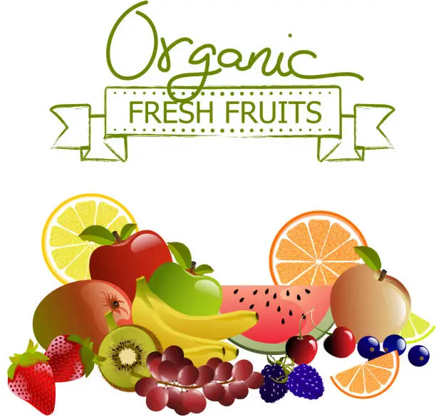 Vector illustration of Organic Fresh Fruits