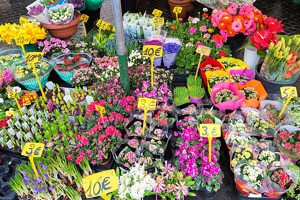 ディスプレイ上のカラフルな花で、市場でローマ（イタリア） - rome flower market store flower ストックフォトと画像