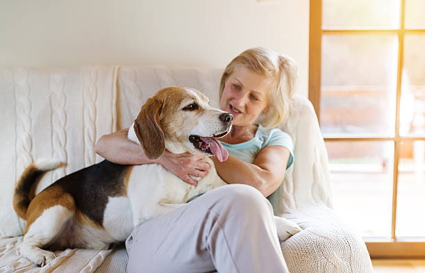 istock Senior woman and dog 472331298