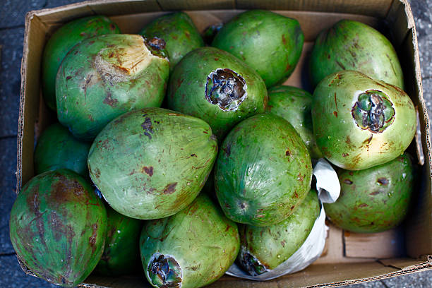 Joven verde coconuts en una caja - foto de stock