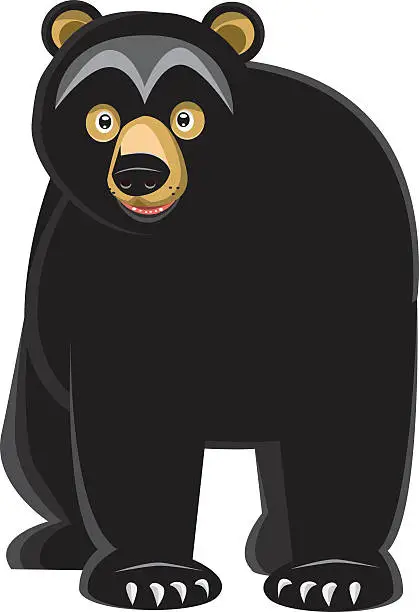 Vector illustration of Black Bear Looking