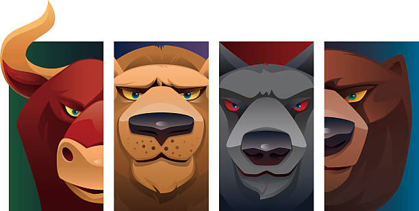 wild animal heads vector characters of 4 wild animals heads - bull, wolf, lion and bear… bull animal stock illustrations
