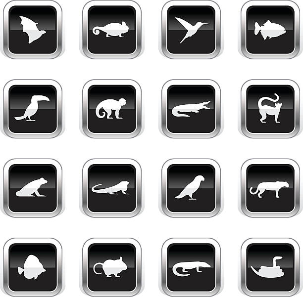 Supergloss Black Icons - Exotic Animals The icons were created using liner gradients and flat shapes. Elements are set on different layers. silver piranha fish stock illustrations