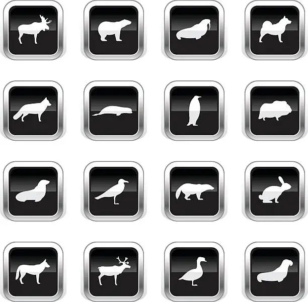 Vector illustration of Supergloss Black Icons - Polar Animals