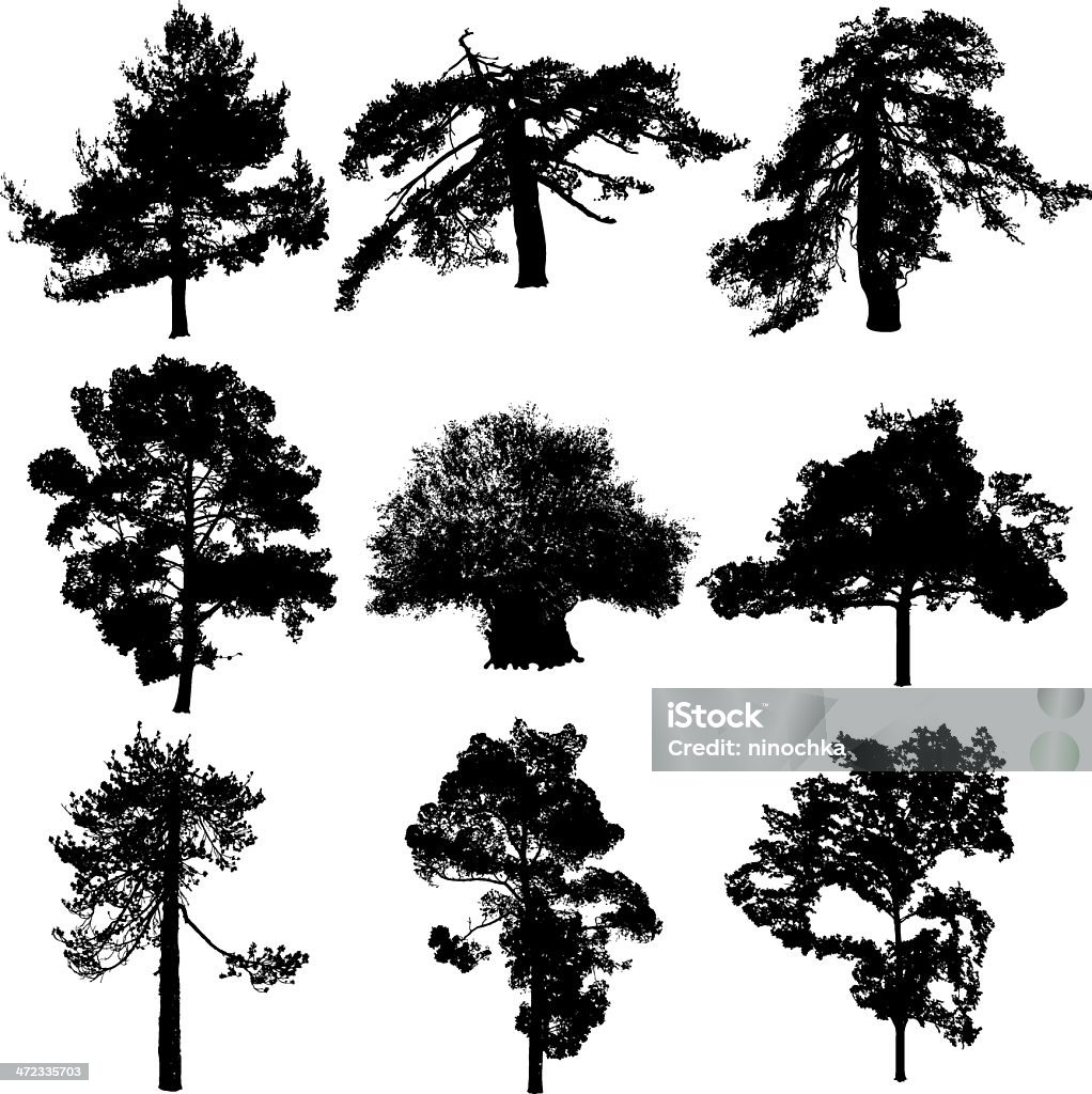 Cyprys trees Abstract stock vector