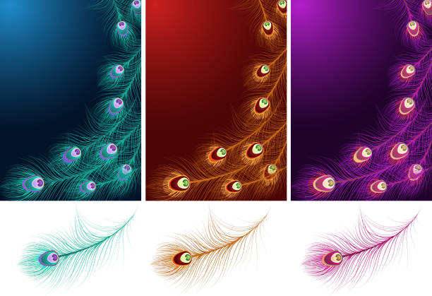 перо рисунок 2 - pattern peacock multi colored decoration stock illustrations