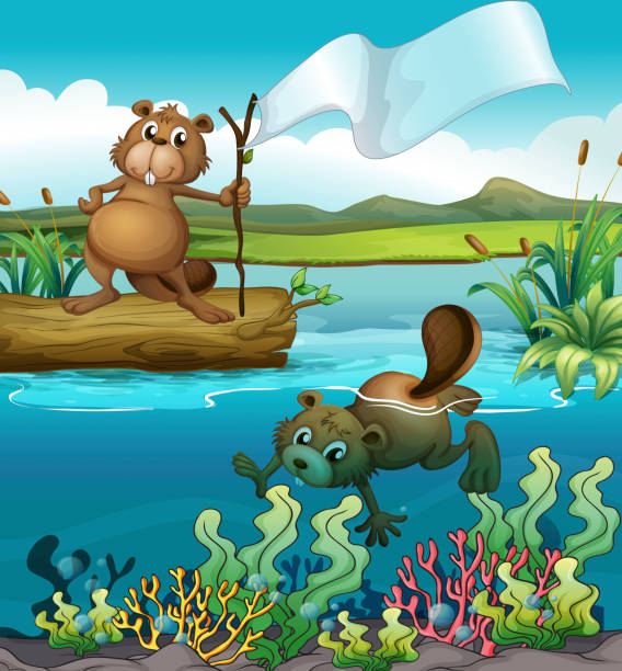 beavers на реку - computer graphic image stick tree trunk stock illustrations