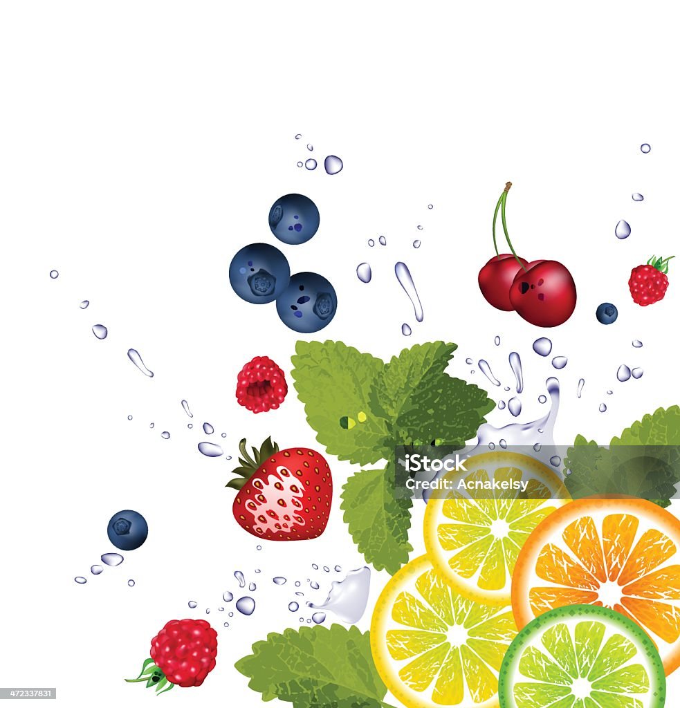 과일 및 튀기다 물 - 로열티 프리 과일 벡터 아트