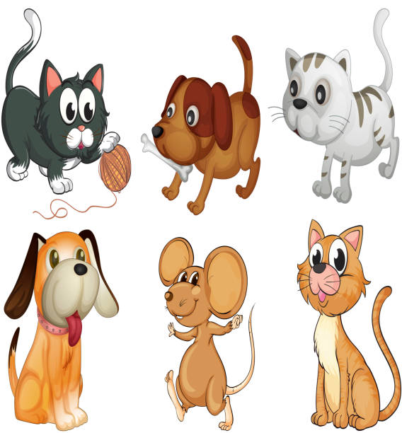 Six Different Animals With Four Legs Stock Illustration - Download Image  Now - Animal, Animal Whisker, Animals Hunting - iStock