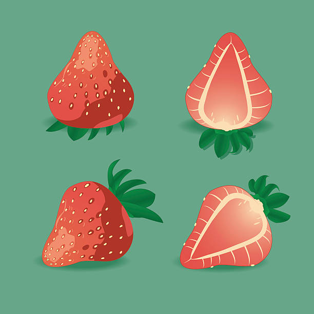 Juicy strawberry on green. vector art illustration