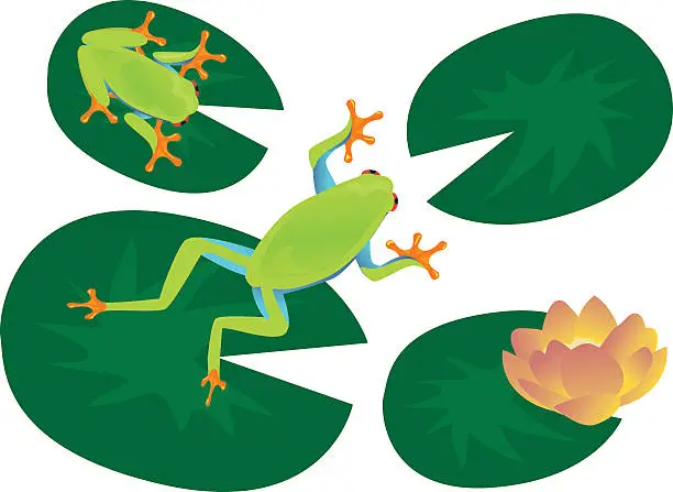 Vector illustration of Frog Set