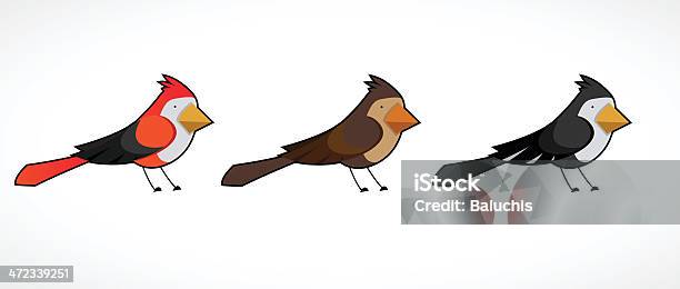 Pássaro Colorido Coleção - Arte vetorial de stock e mais imagens de Amizade - Amizade, Ao Ar Livre, Asa de animal