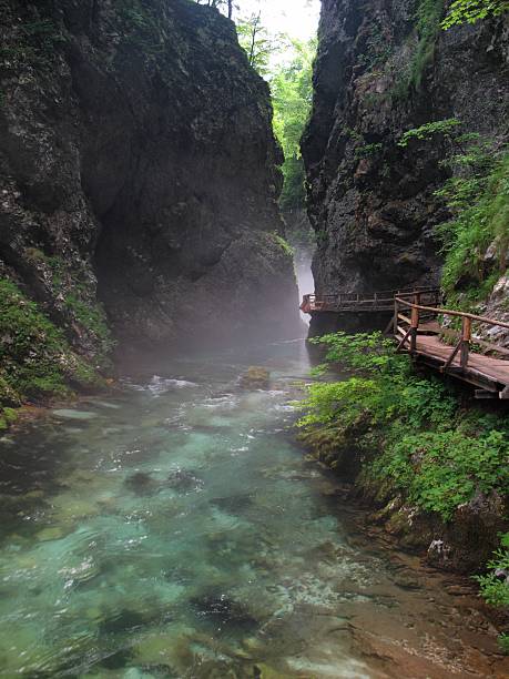 istock Wintgar gorge near Bled in Julian Alps 472339978