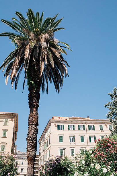 istock Park in Ancona with trees and old buildings 472340094