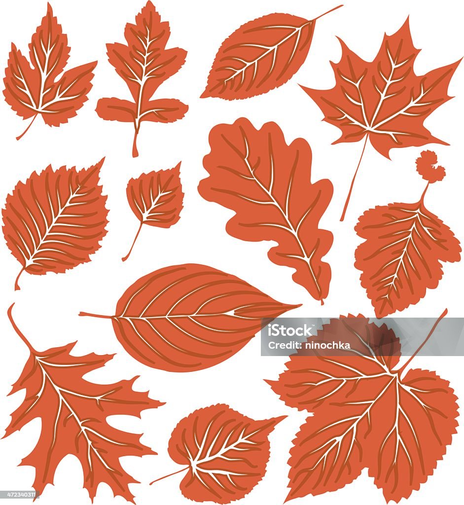 Красные листья - Векторная графика Ботаника роялти-фри