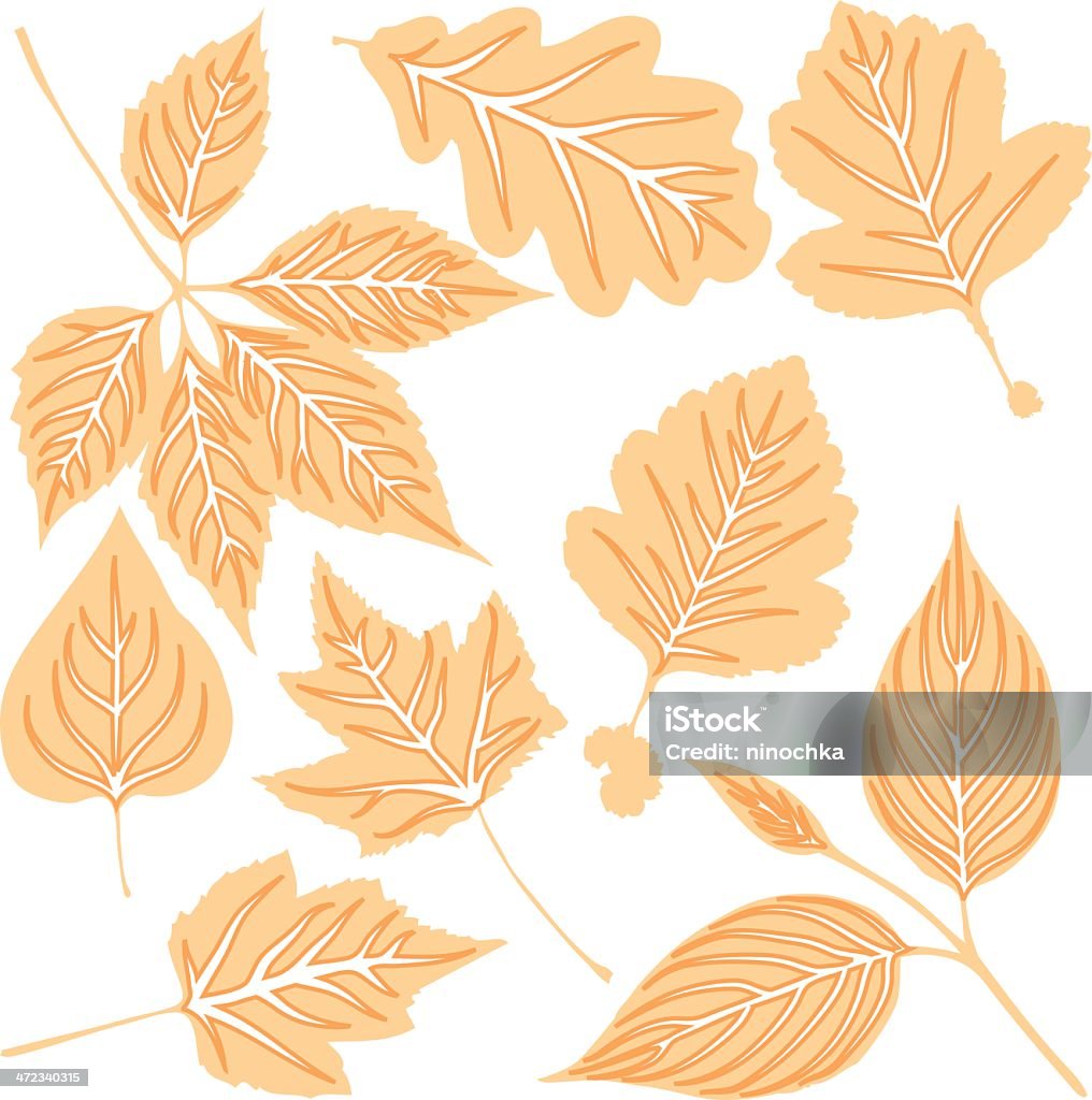 Żółte liście - Grafika wektorowa royalty-free (Botanika)