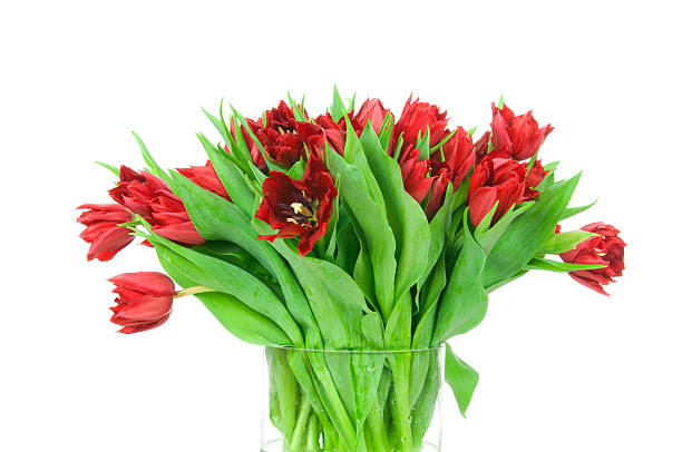 istock Tulips in the vase 472340948