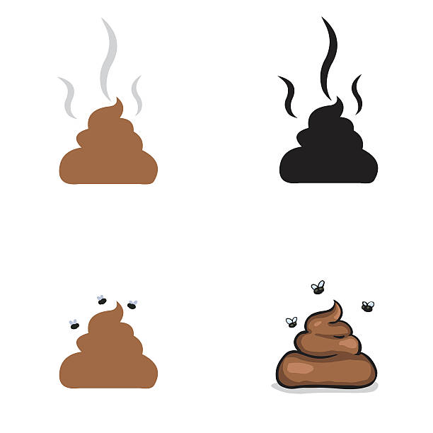 vector set of shit: icon and illustration vector set of shit: icon and illustration Shit Fly stock illustrations
