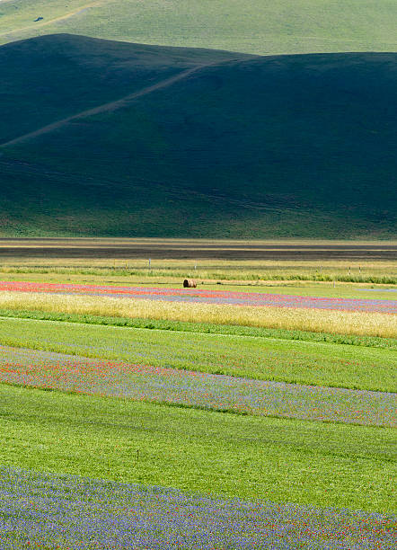 istock Piano Grande di Castelluccio (Italy) 472341486