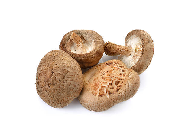istock Shiitake mushroom on the White background 472341838