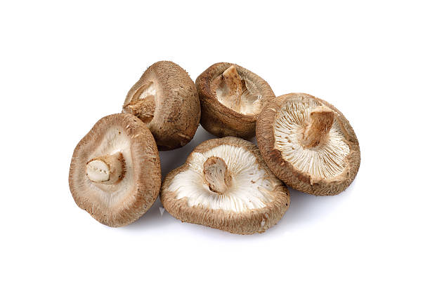 istock Shiitake mushroom on the White background 472341840