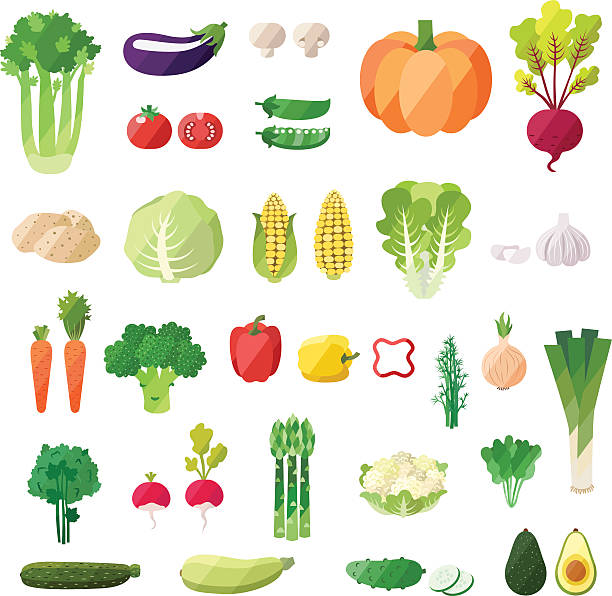 wektor zestaw warzyw.   nowoczesne płasko. - vegetable asparagus cauliflower legume stock illustrations
