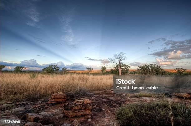 The Kimberley Plains Stock Photo - Download Image Now - Kimberley Plain, Kimberley, The Kimberley