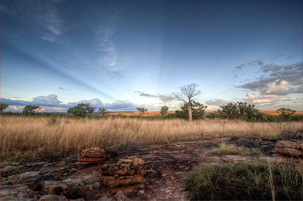 kimberley plains - kimberley plain - fotografias e filmes do acervo