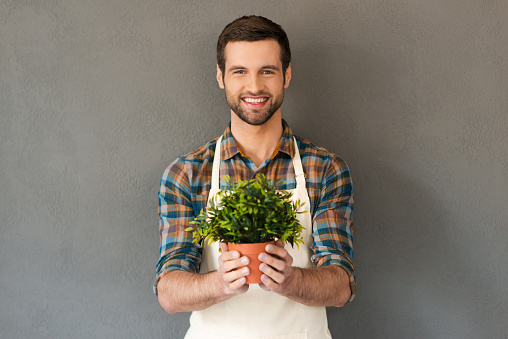 Cheerful young gardener holding flower pot and smiling at camera while standing against grey background