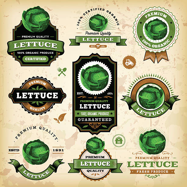 ilustraciones, imágenes clip art, dibujos animados e iconos de stock de lechuga vintage etiquetas - farmer salad