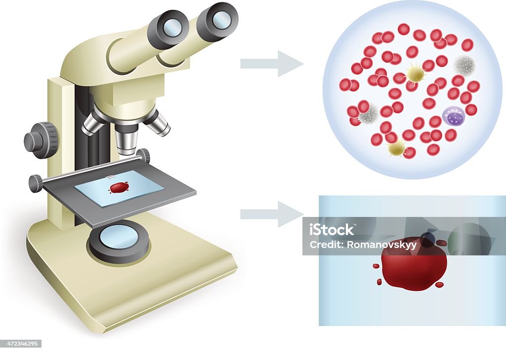 Sangre bajo un microscopio - arte vectorial de Microscopio libre de derechos