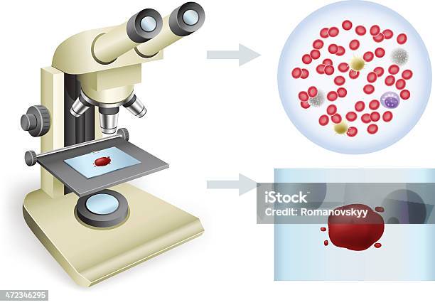 Ilustración de Sangre Bajo Un Microscopio y más Vectores Libres de Derechos de Microscopio - Microscopio, Debajo de, Mirar