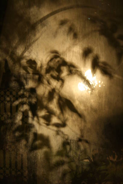istock Abstract reflection of leaves on a window 472347404