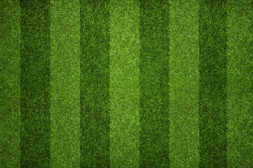 Empty striped soccer field texture, background with copy space