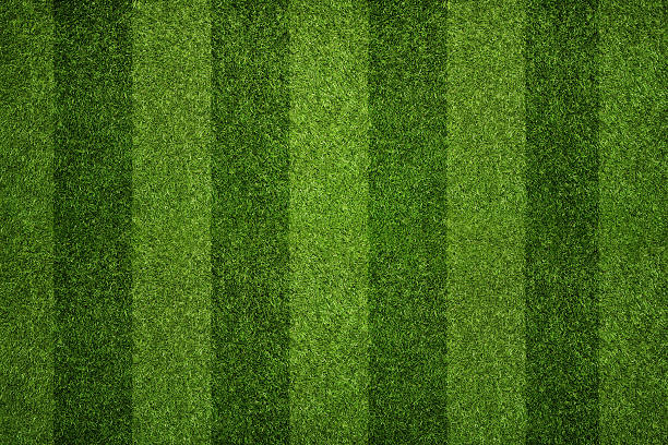 Striped soccer field stock photo