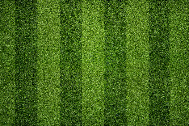 Striped soccer field Empty striped soccer field texture, background with copy space grass stock pictures, royalty-free photos & images