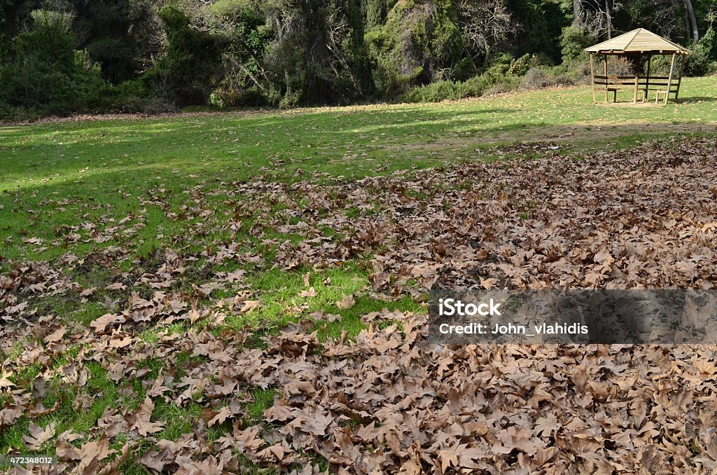 kiosk in leaves carpet leaves carpet kiosk 2015 Stock Photo