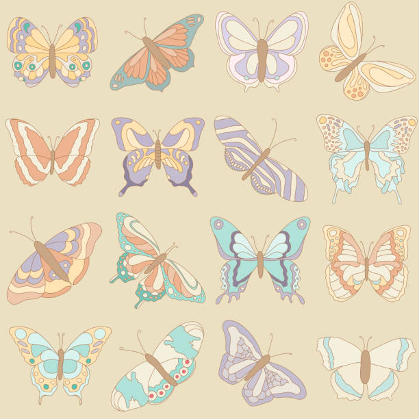 Butterfly set A set of sixteen colorful, stylized, hand drawn butterflies. EPS10 vector illustration, global colors, easy to modify. drawing of spring free stock illustrations