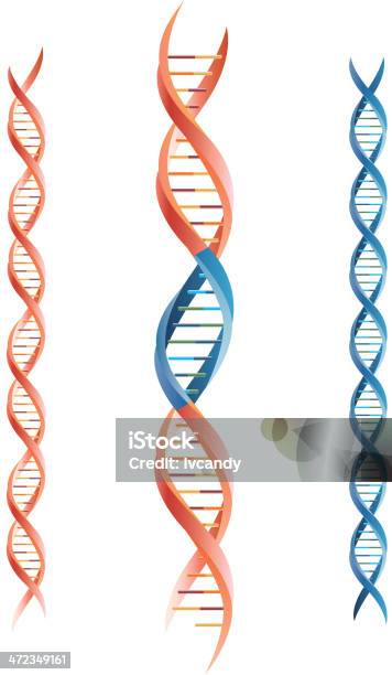 Zmodyfikowane Genetycznie - Stockowe grafiki wektorowe i więcej obrazów DNA - DNA, Badania, Bez ludzi