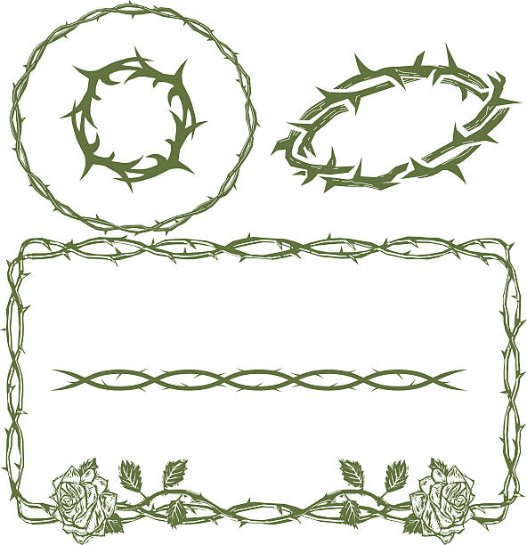thorn pobrania - ostry stock illustrations