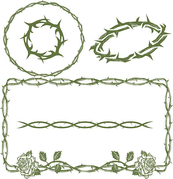 Thorn Collection Collection featuring thorn themed clip art thorn stock illustrations