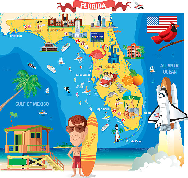 Cartoon map of Florida Cartoon map of Florida clearwater florida stock illustrations