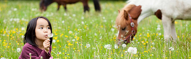 Little Asian girl in the park and horses in background