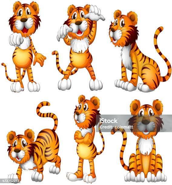 Sześć Pozycji Z Tiger - Stockowe grafiki wektorowe i więcej obrazów Clip Art - Clip Art, Czarny kolor, Duża grupa zwierząt