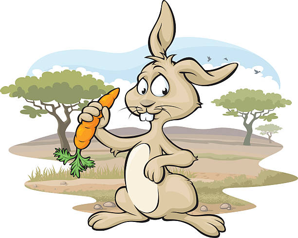 Rabbit Reserve Stock Illustration - Download Image Now - Rabbit - Animal,  Carrot, Eating - iStock