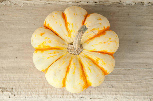 orange and white pumpkin