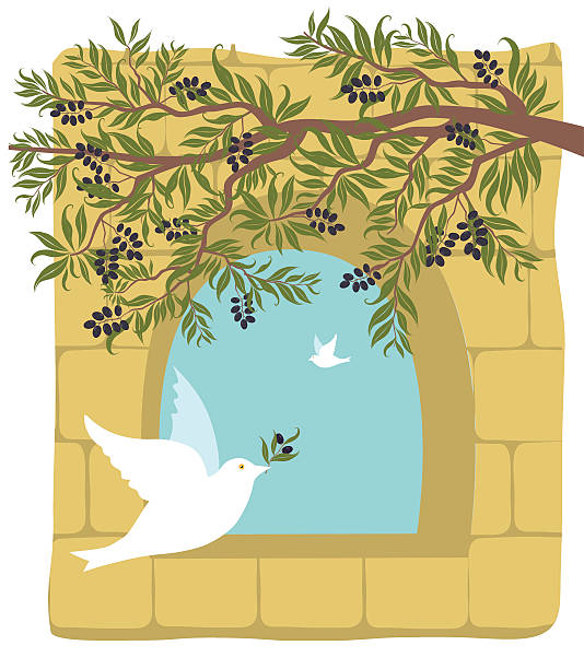 olive branch, dove auf alten steinmauer hintergrund - passover judaism seder olive stock-grafiken, -clipart, -cartoons und -symbole