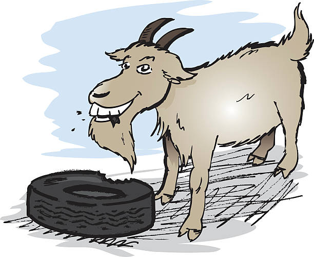 タイヤ食べるヤギ - goat shaggy animal mammal点のイラスト素材／クリップアート素材／マンガ素材／アイコン素材
